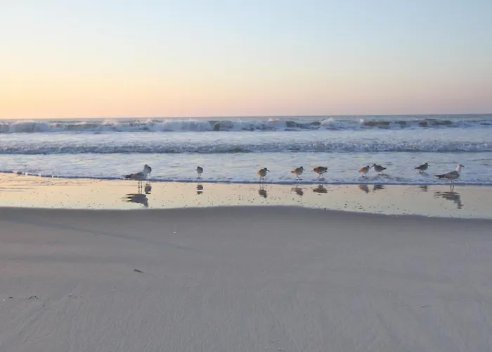Carolina Breezes West